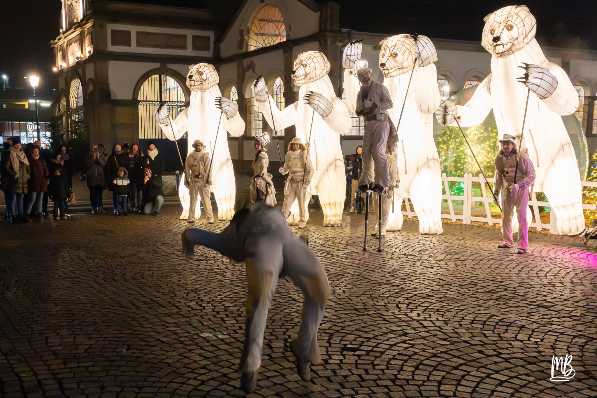 MB2024 CIE REMUE MENAGE(Gueule d'ours) (104 sur 107)